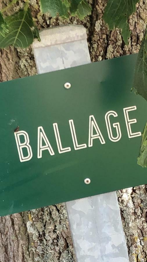 Le Gite De Ballage Chemille-Sur-Deme Exterior photo